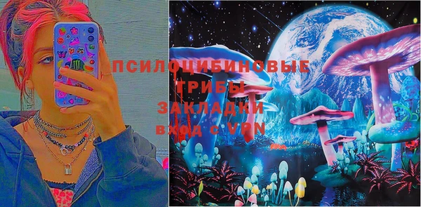 МДПВ Мегион
