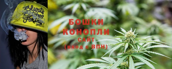 МДПВ Мегион