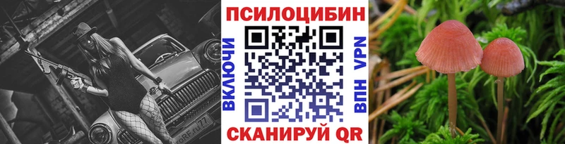 Псилоцибиновые грибы Cubensis  ОМГ ОМГ   Фокино 